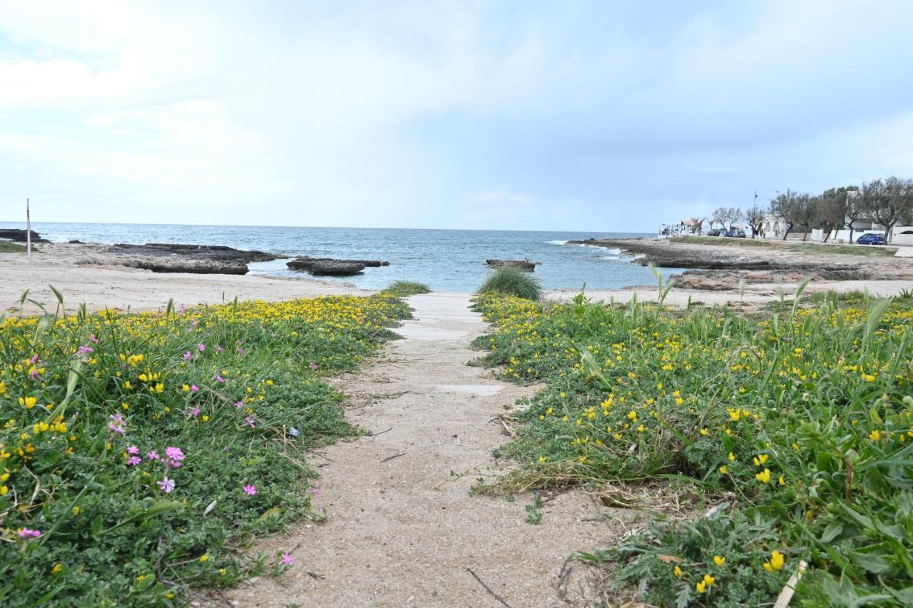 Villa Adua Torre Santa Sabina Eksteriør bilde